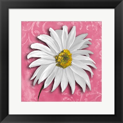 Framed Blooming Daisy III Print