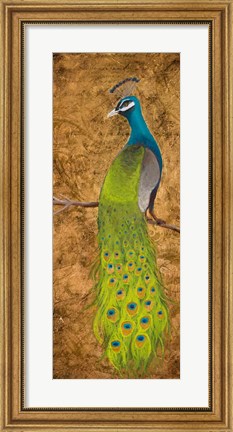 Framed Peacocks I Print