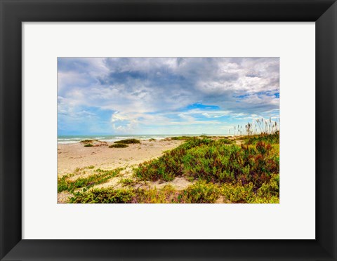 Framed Beach Island II Print