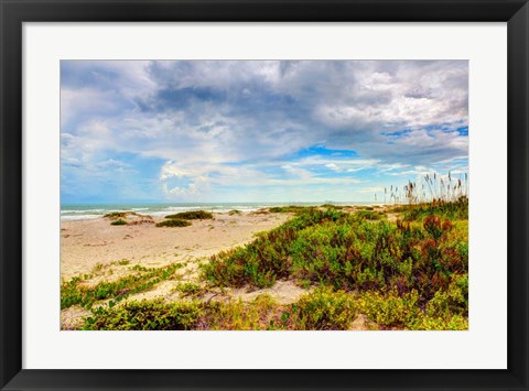 Framed Beach Island II Print