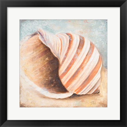 Framed Seashell Collection I Print