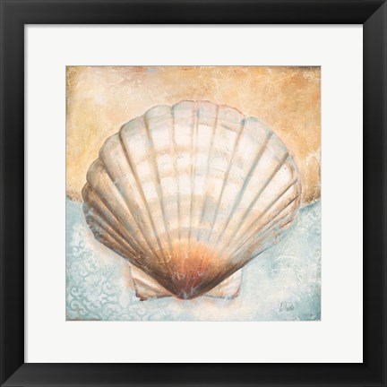 Framed Seashell Collection III Print