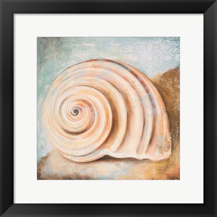 Framed Seashell Collection IV Print