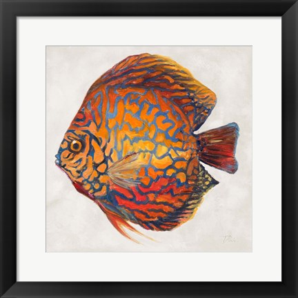 Framed Little Fish II Print