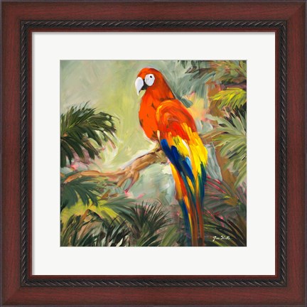 Framed Parrots at Bay I Print