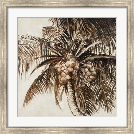 Framed Coconut Palm I Print