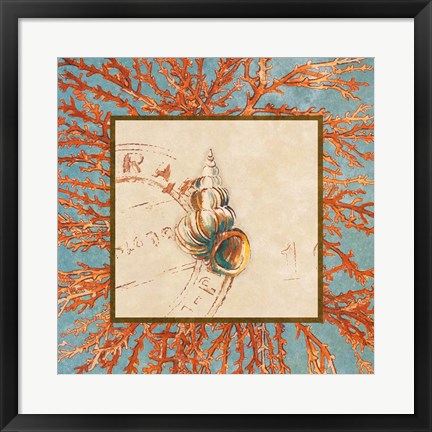 Framed Coral Medley Shell III Print