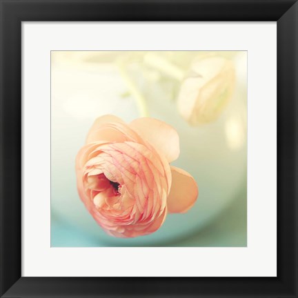 Framed Vintage Peony II Print