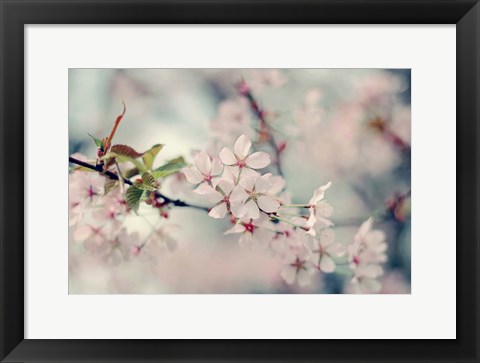 Framed Branch of Beauty Print