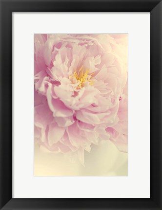 Framed Angelic Petals Print