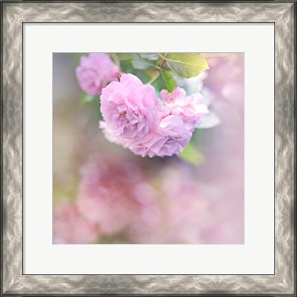 Framed Graceful Floral Print
