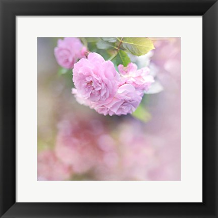 Framed Graceful Floral Print