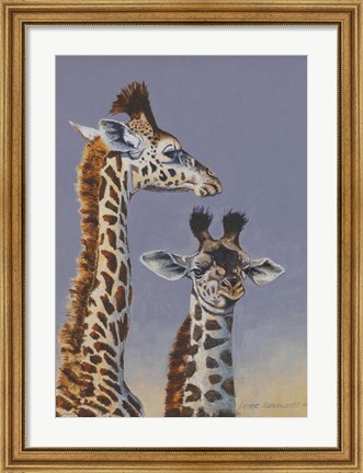 Framed Two Young Giraffes Print