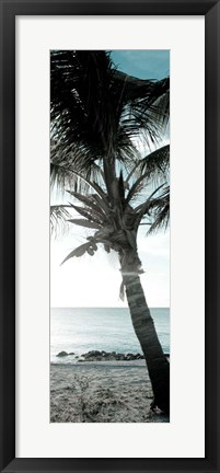 Framed Cool Bimini Palm I Print