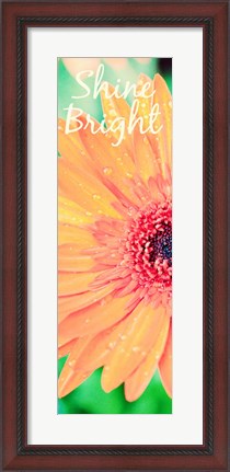 Framed Shine Bright Daisy Print