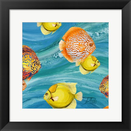 Framed Aquatic Sea Life I Print