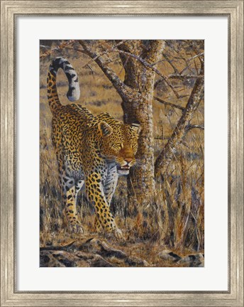 Framed Leopard Walking Print