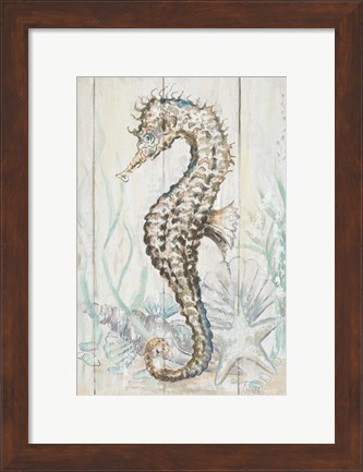 Framed Antique Sea Horse II Print