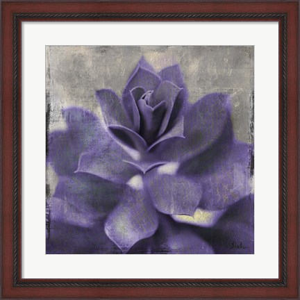 Framed Lavender Succulent I Print