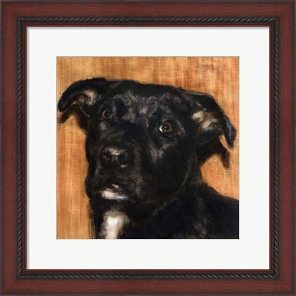 Framed Puppy Dog Eyes I Print