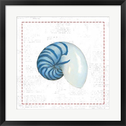 Framed Navy Nautilus Shell on Newsprint with Red Print