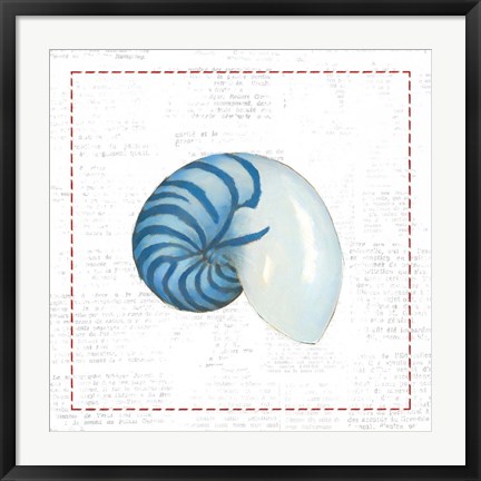 Framed Navy Nautilus Shell on Newsprint with Red Print
