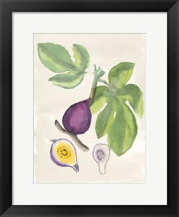 Framed Watercolor Fruit I Print