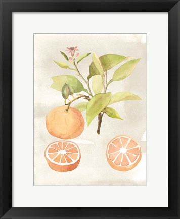 Framed Watercolor Fruit V Print