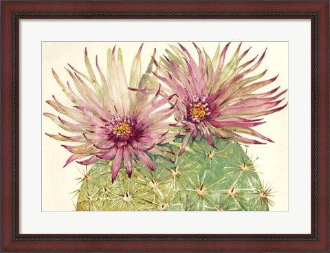 Framed Cactus Blossoms I Print