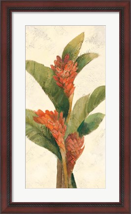Framed Ginger Blossom on White Print