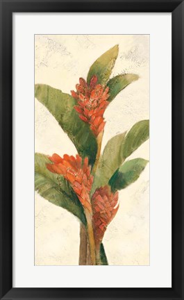 Framed Ginger Blossom on White Print