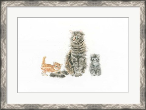 Framed Cat and Kittens Print