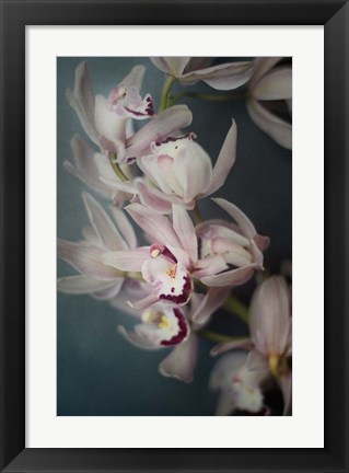 Framed Dark Orchid I Print
