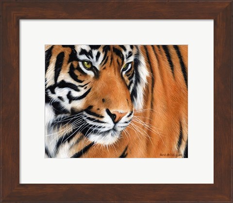 Framed Tiger Crop Print