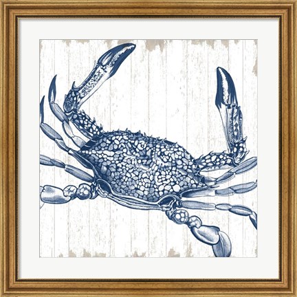 Framed Seaside Crab Print