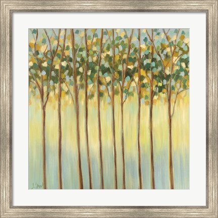 Framed Awakening Tree Tops Print