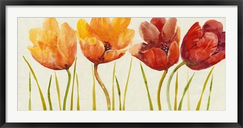 Framed Row of Tulips I Print