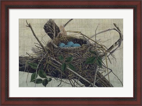 Framed Nesting II Print