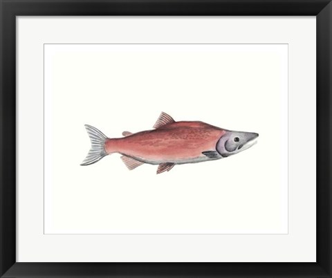 Framed Watercolor Deep Sea Fish III Print
