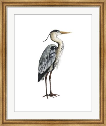 Framed Sea Bird V Print