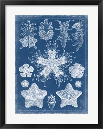 Framed Marine Blueprint III Print