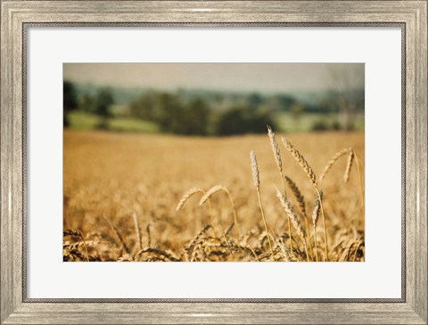 Framed Blissful Country I Print