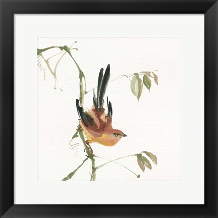 Framed Mountain Bush Warbler Print