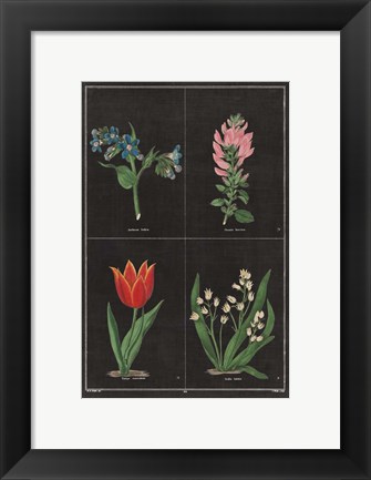 Framed Botanical on Black Chart III Print