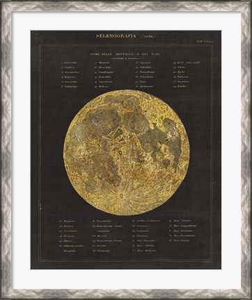 Framed Astronomical Chart I Print