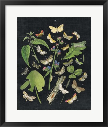 Framed Butterfly Bouquet on Black III Print