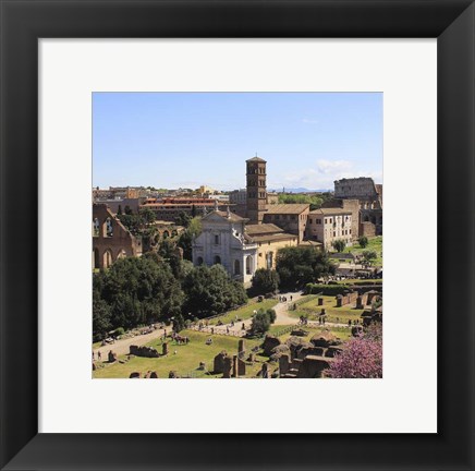 Framed Look from Palatine Hill Francesca Romana Print