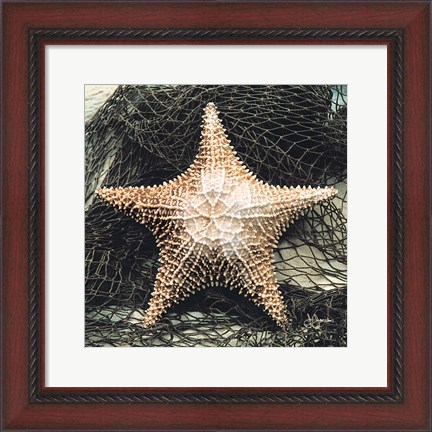 Framed Starfish with Net Print