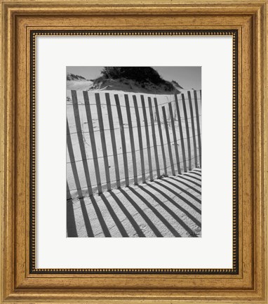 Framed I.R. Fla Fence 2 Print
