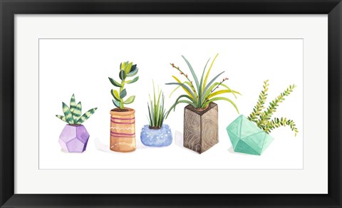 Framed Succulent Display I Print